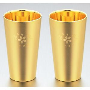 y^}nVz^}nV   18-8XeXW\^u[ 2PC bLdグ  SK-010