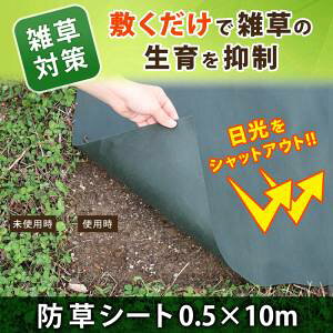 yAXgzAXg 602-09S |p hV[g 50cm 3Zbg