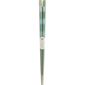 yAIozAIo H Ƃڋ ANA 23cm F