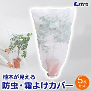 yAXgzAXg A؂ sDzh 悯Jo[ 5g 520-39