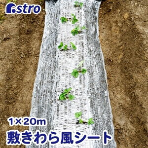 �y�A�X�g���z�A�X�g�� �~����畗 �L���L���V�[�g 1×20m 530-10