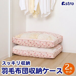 yAXgzAXg 畿 HѕzcۑP[X 2g 197-28