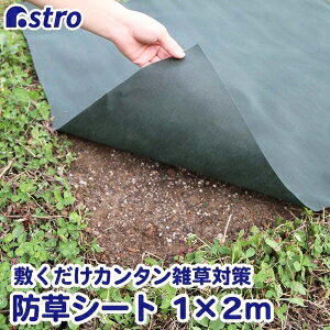 yAXgzAXg |phV[g 1×2m 602-44