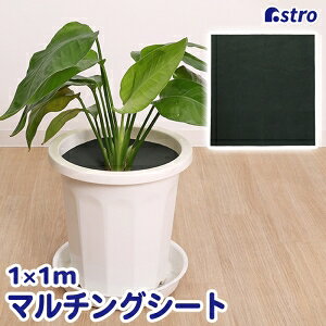 yAXgzAXg |phV[g 1×1m 602-47