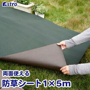 yAXgzAXg |phV[go[Vu 1×5m 624-01