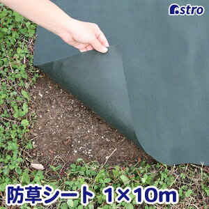 yAXgzAXg hV[g O[ 1×10m 80 624-05