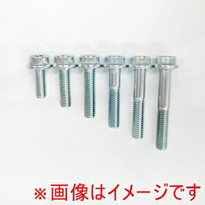 �y�G�k�e�B�[�r�[ NTB�zFSB06-015S �Z�p���t���t�����W�{���g M6-15 10 �{ �G�k�e�B�[�r�[