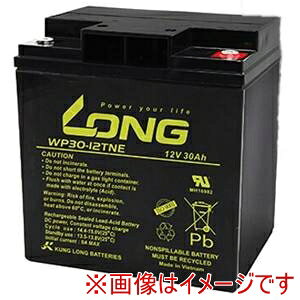 IIyLONG BATTERYzLONG BATTERY WP30-12TNE َ~dr UPSEdpEdԁEZjAJ[pobe[ [J[ s kCꗣsysmtb-uz