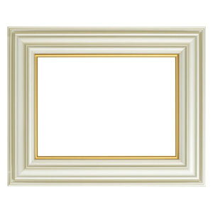 【大額】大額 3455N 額縁 油彩額 F20 シャンペンゴールド UVアクリル