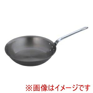 �y�������� TKG�zTKG ���S�A�C�A���u���[ �t���C�p�� FC-30 30cm AHLV207 ��������