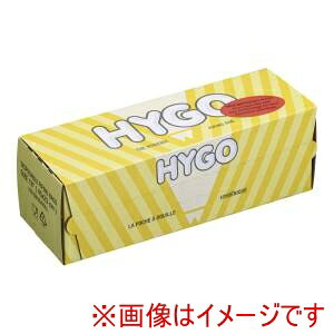 ynCS HYGOznCS ĝă[^Cvi M 100[ 1018