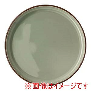 y[[^[ Rosenthalz[[^[ RTvtB A[Xv[g405405 27cm CX10867