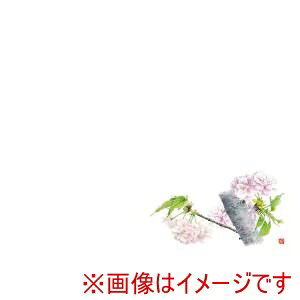 yJ~C\YzJ~C\Y 3 e[u}bg 100 ̉ No.520