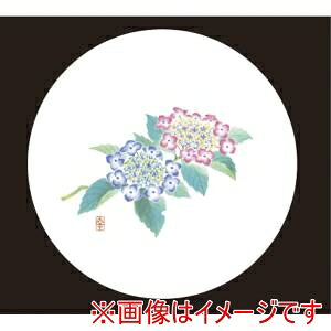 �y�A�[�e�b�N�z�A�[�e�b�N �a���R�[�X�^�[ �� 50���� WCO-M5N ��������