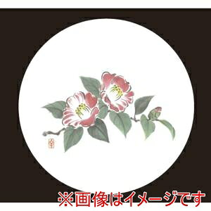 �y�A�[�e�b�N�z�A�[�e�b�N �a���R�[�X�^�[ �� 50���� WCO-M9N ��