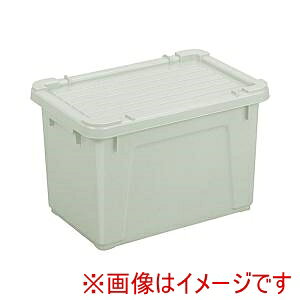 yg{ TONBOzg{ p^̗e t^ Wt O[ 24^