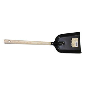 yiː쏊ziː쏊 ؕ \\  Y\