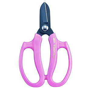 yAXR[|[V ARSzAX FP-17-P Ɩp  ͂ t[ sN