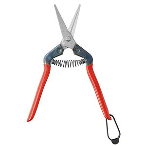 �y�ߐ� �`�J�}�T�z�`�J�}�T T-55SH �{�E���|�p �X�e�����X ��؁E�E���� �ߐ�