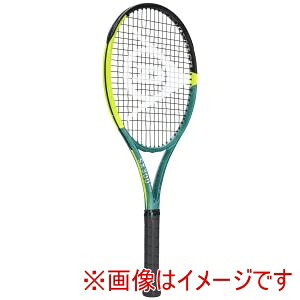 �y�_�����b�v DUNLOP�z�_�����b�v DS22500 25 D SX300TOUR DS22500 G2