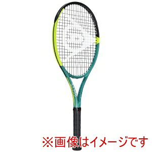 �y�_�����b�v DUNLOP�z�_�����b�v DS22501 25 D SX300 DS22501 G2