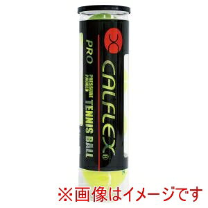 yTNCf SAKURAIzTNCf LBP-4 vbV[ dejX{[ 4P