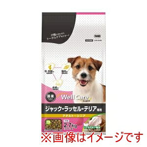 yC[X^[zC[X^[ EFPA WbNEbZEeAp A_g`VjA 2.7kg