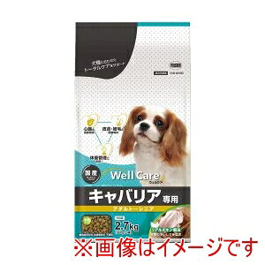 yC[X^[zC[X^[ EFPA LoAp A_g`VjA 2.7kg