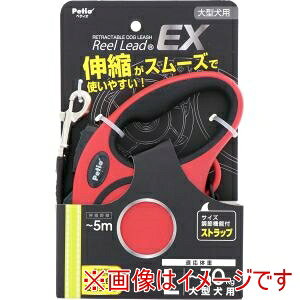 yyeBI PetiozyeBI pLk[h [[hEX L bh