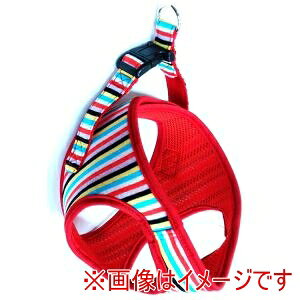 y쐻쏊z쐻쏊 XgCv \tgn[lX S }`bh