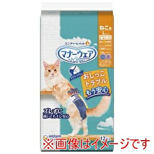 yj`[ unichamzj`[ }i[EFA ˂pLTCY 12