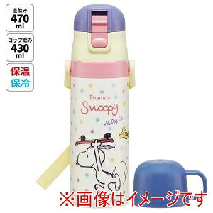 yXP[^[ SKATERzXP[^[ Xk[s[ XP[g{[h y 2WAY XeX {g SKDC4