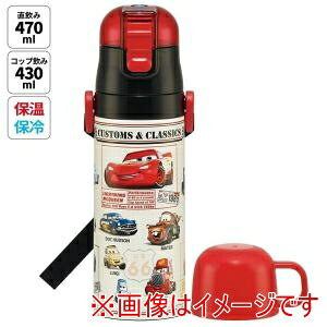 yXP[^[ SKATERzXP[^[ J[Y 25 y 2WAY XeX {g SKDC4