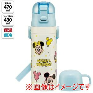 yXP[^[ SKATERzXP[^[ ~bL[ tY D y 2WAY XeX {g SKDC4