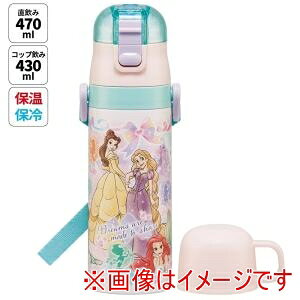 yXP[^[ SKATERzXP[^[ vZX 25 y 2WAY XeX {g SKDC4