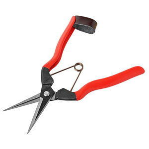 yѐ KoshijizzH Ԏ 185mm K-10