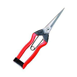 yѐ Koshijizѐ zH XeX nE 200mm J-2