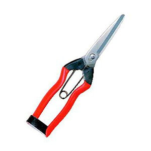 yѐ KoshijizzH XeX n 200mm J-3