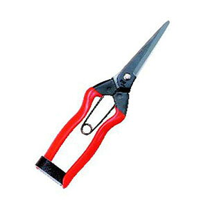 yѐ KoshijizzH  200mm J-12