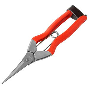 yѐ Koshijizѐ zH XeXE 185mm S-1