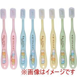 yXP[^[ SKATERzXP[^[ ݂R炵 p uV 8{ Zbg TB5SE