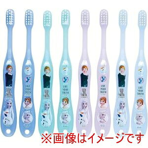 yXP[^[ SKATERzXP[^[ AiƐ̏ 2 p uV 8{ Zbg TB5SE