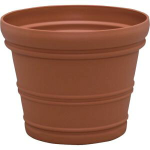 yACXI[} IRISzACXI[} oVA|bg uE 15