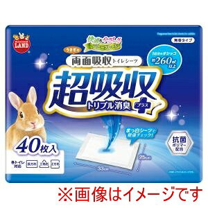 y}J MGz}J ̗ʋz gCV[c 40