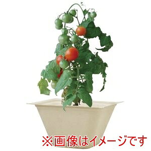 yV|zV| oKXO[ ~jg}g 93235