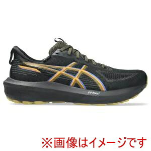 �y�A�V�b�N�X ASICS�z�A�V�b�N�X 1011C078 GT-1000 14 GTX BLACK/DARK COBALT 26.5cm
