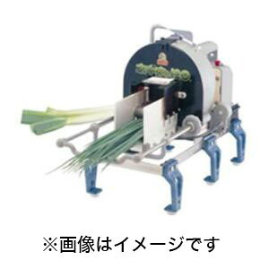 ytHƏztHƏ dlM i:֐n ېn 蓮lMۋ CNG04001