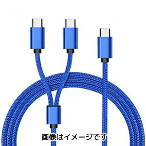 �y�����΂��`�zTypeC TypeC×2 �P�[�u�� 1.2m �u���[