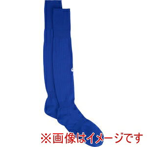 �y�A�V�b�N�X ASICS�z�A�V�b�N�X 3103A071 �X�g�b�L���O �u���[ L