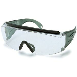 yR{w XzX 331 PET-AF ی߂ ^ SWANS R{w